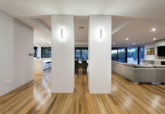 Spotted Gum